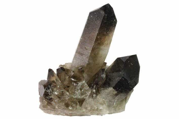 Dark Smoky Quartz Crystal Cluster - Brazil #134961